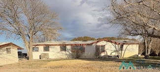 99 E Morgan Rd, Hagerman, NM 88232