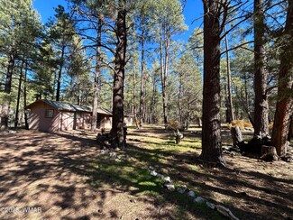 2842 Gold Dust Trail, Show Low, AZ 85901