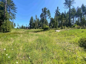 000 Noels Way, Crescent City, CA 95531