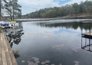 229 Sonora Ln, Holly Lake Ranch, TX 75765