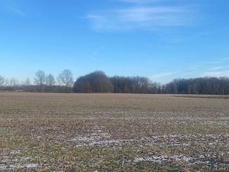 1469 County Road 165, Ashley, OH 43003