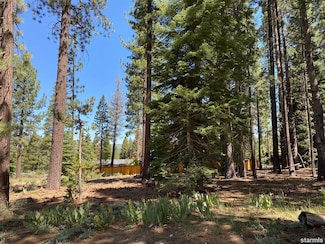 1914 Blackfoot Rd, South Lake Tahoe, CA 96150