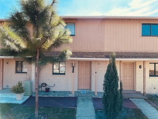 4010 Pine Limb Ct, Tampa, FL 33614