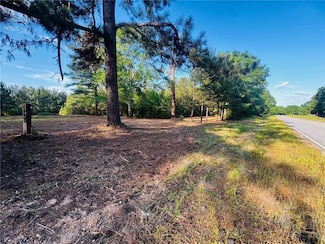 24211 Highway 1057 None, Kentwood, LA 70444
