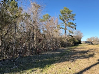 0 Highway 190, Point Blank, TX 77364