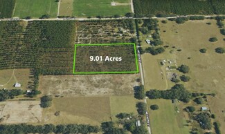 0 NE 140th St, Trenton, FL 32693