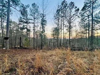 Tract 6 Ramblewood Trail, Yellville, AR 72687