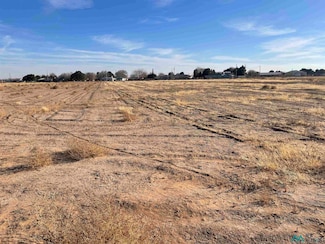 E of 503 Seneca Ln, Carlsbad, NM 88220