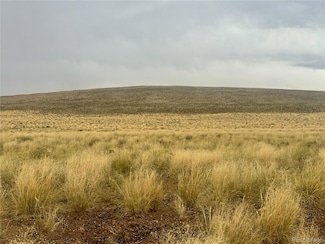 lot 11 Alyssum Cir, Blanca, CO 81123