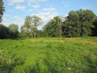 8811 Welty Rd SW, Navarre, OH 44662