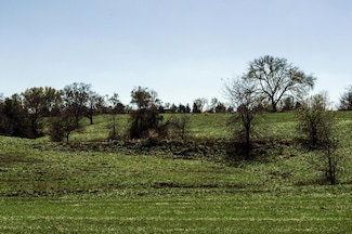 Tract 8 E 425th Rd, Fair Play, MO 65649