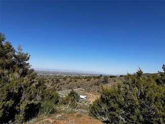 0 Silver Rock Rd Unit HD24075911, Pinon Hills, CA 92372