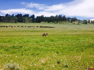 0 Alpine Plateau Rd Unit 742136, Cimarron, CO 81220