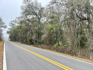 311 NE 316th Ave, Old Town, FL 32680