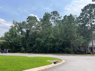 200 Deer Crossing Rd, Elgin, SC 29045