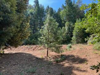 0 Barlow St, Cave Junction, OR 97523