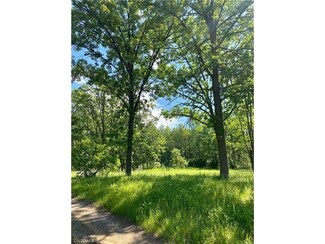 9034 Goodnuff Ln NE, Turtle River, MN 56601