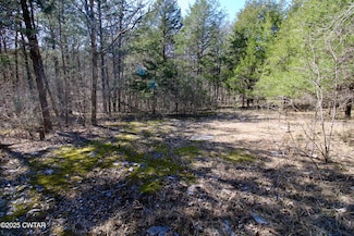 000 Eagles Nest Landing Ln, Bath Springs, TN 38311