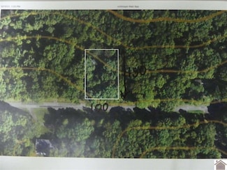 63 Waterway Trail, New Concord, KY 42076