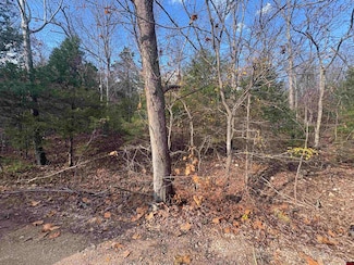 001-03671-002 Crystal Oaks Trail, Gamaliel, AR 72537