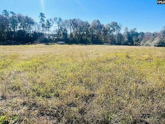 TBD Tom Moore Rd, Batesburg-Leesville, SC 29070