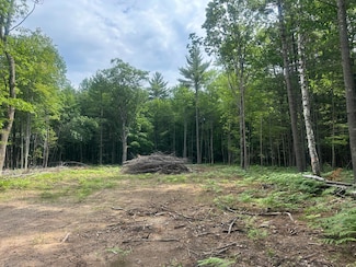Lot 6 Pine Breeze Way, Eagle River, WI 54521
