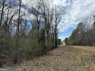 0 Ga Hwy 129 Hwy Unit 10508333, Tarversville, GA 31044
