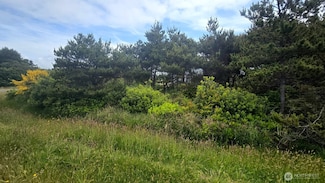 788 S Sand Dune Ave SW, Ocean Shores, WA 98569