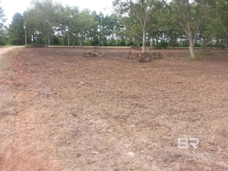 0 Engel Ln Unit 379559, Foley, AL 36535