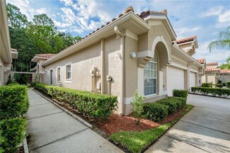 3774 Darston St, Palm Harbor, FL 34685
