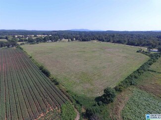 0 Oak Grove Rd Unit 25+/- Ac 798937, Munford, AL 35160