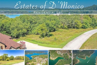 Lot 42 Valencia, Blue Eye, MO 65611