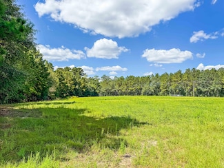 Tbd County Road 1746, Woodville, TX 75979