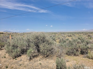 009-040-21 Muddy Rd, Grass Valley, NV 89445