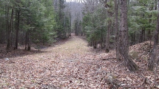 Lot 33.2 Sawyers Mills Rd, Anson, ME 04911