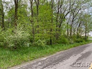 8000 BLK LOT 10 Stephenson Rd, Onsted, MI 49265