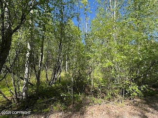 15377 W 7th St, Point MacKenzie, AK 99654
