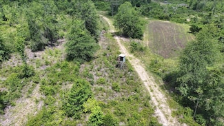 0 County Road 217, Ariton, AL 36311