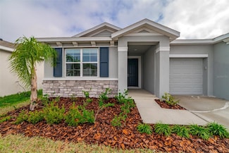 12436 Shining Willow St, Riverview, FL 33579