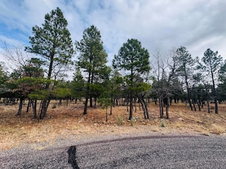 2793 Hummingbird Cir, Happy Jack, AZ 86024