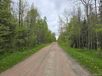 Lot 37 Yellow Rd, Nisula, MI 49952