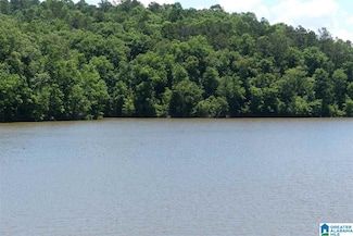 Lot 20 Foster Cove Dr, Lineville, AL 36266