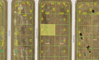 16 Sapsucker Dr, Cape Haze, FL 33946