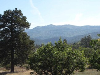 0 Indian Paintbrush Dr Unit 202500632, Chama, NM 87520