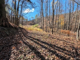 0 County Road 126, Greenwood, NY 14839