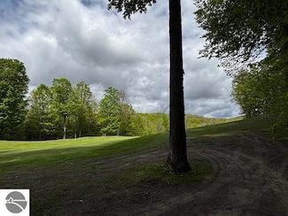 Unit 24 Forest Trail, Custer Township, MI 49615