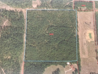 xxx County Road 2221, Pittsburg, TX 75686