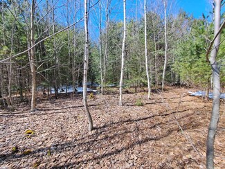 0 Cuttyhunk Rd Unit Lot 13, Thornton, NH 03285