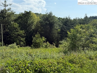 TBD Holly Ridge Rd, West Jefferson, NC 28694