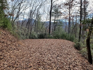 24 Cliff Dalrymple Rd, Franklin, NC 28734